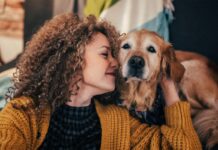 gift ideas for dogs and dog owners