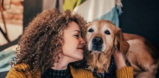 gift ideas for dogs and dog owners