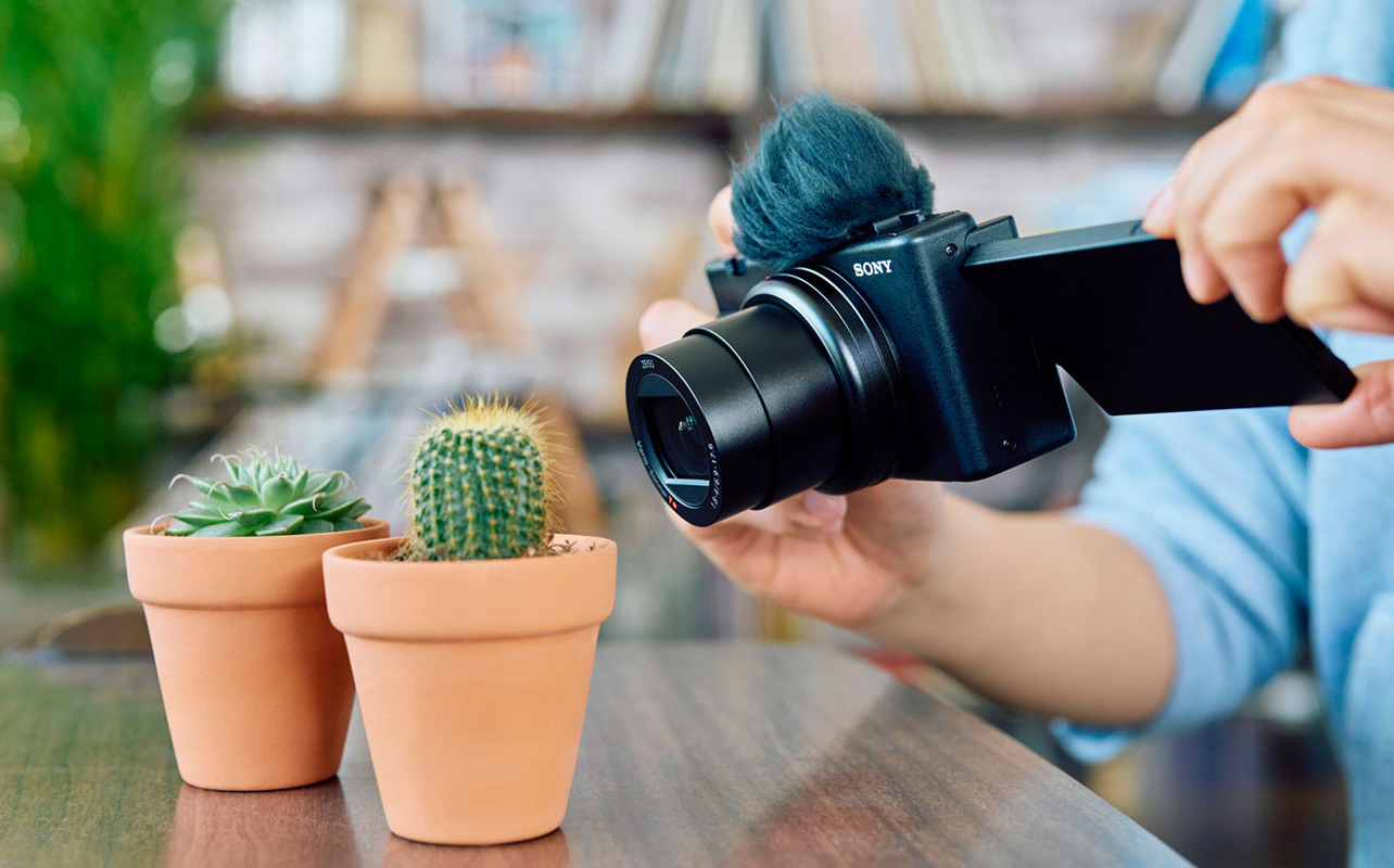 Sony mirrorless camera