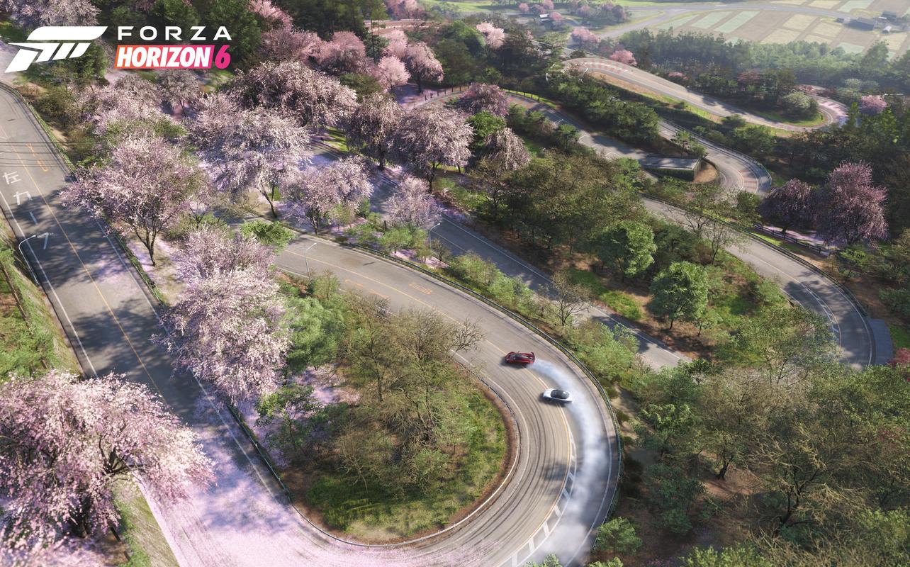 Two cars drifting around a sharp mountain turn surrounded by cherry blossoms in Forza Horizon 6.