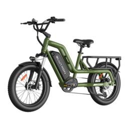 Blutron SCG5 Cargo Electric Bike
