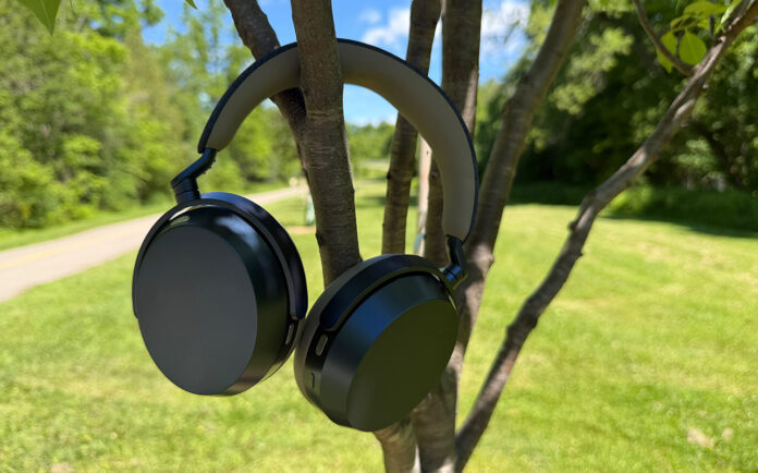 The Sennheiser Momentum 5 Wireless headphones hanging on tree branches.