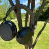 The Sennheiser Momentum 5 Wireless headphones hanging on tree branches.