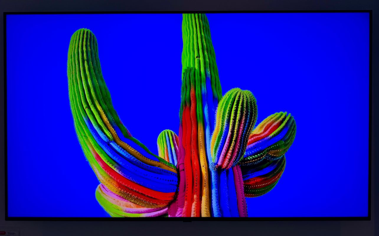 The LG Micro RGB evo TV is displaying a rainbow cactus against a blue sky.